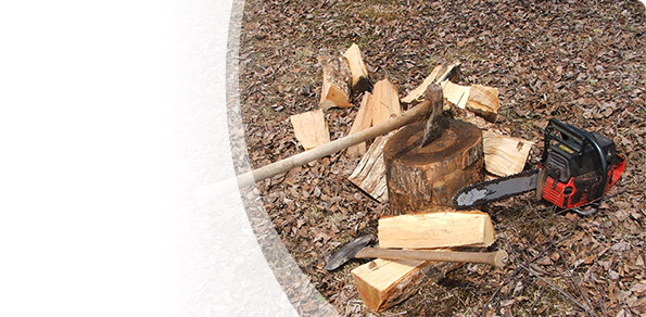 Achat de permis de bois de chauffage en ligne pour le nettoyage en bordure des chemins
